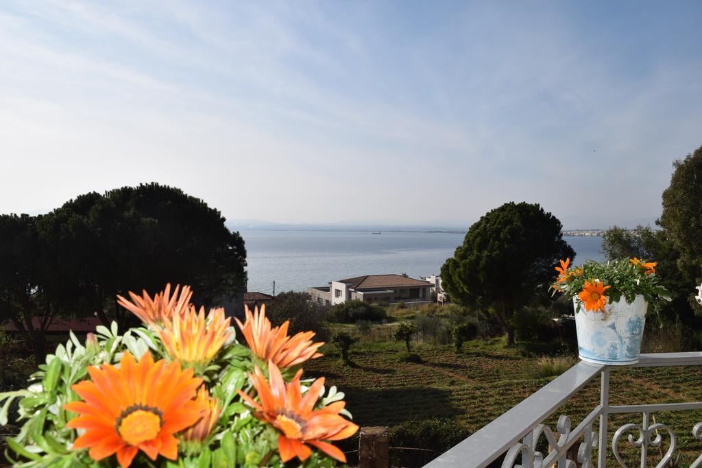 Petra Thea Apartment Kalamata Zewnętrze zdjęcie
